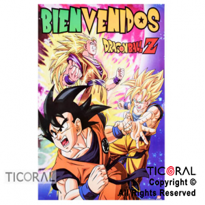 DRAGON BALL AFICHE BIENVENIDO x 1